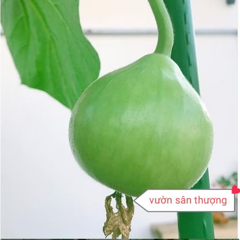 Ống Nối Thẳng Hai Đầu Cọc Lõi Thép Bọc Nhựa, Fi 11, 16, 20 Hàng Dày, Nhập Khẩu Tr.ực Tiếp