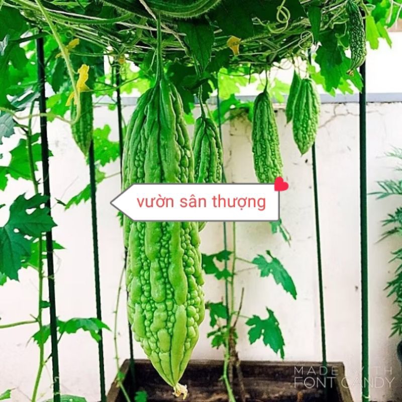 Ống Nối Thẳng Hai Đầu Cọc Lõi Thép Bọc Nhựa, Fi 11, 16, 20 Hàng Dày, Nhập Khẩu Tr.ực Tiếp