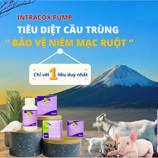 Interchemie INTRACOX PUMP chai 100ml kèm vòi bơm trị cầu trùng bảo vệ niêm mạc ruột ở chó mèo heo