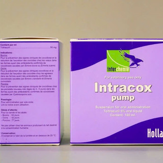 Interchemie INTRACOX PUMP chai 100ml kèm vòi bơm trị cầu trùng bảo vệ niêm mạc ruột ở chó mèo heo
