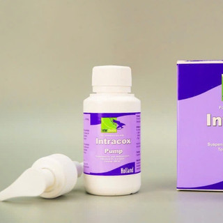 Interchemie INTRACOX PUMP chai 100ml kèm vòi bơm trị cầu trùng bảo vệ niêm mạc ruột ở chó mèo heo