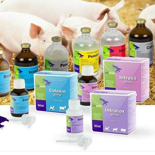 Thuốc thú y dạng xịt Colexin Pump chai 100ml Interchemie trị tiêu hóa tiêu chảy trên chó mèo heo con