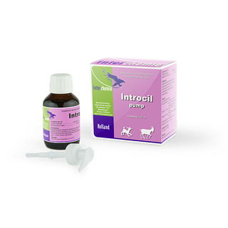 Thuốc thú y dạng xịt Colexin Pump chai 100ml Interchemie trị tiêu hóa tiêu chảy trên chó mèo heo con