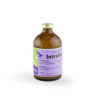 Interchemie Intrafer chai 100ml bổ sung sắt và Vitamin B12 ngừa tiêu chảy cho chó mèo heo con giasúc