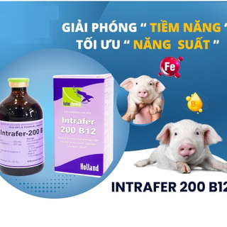 Interchemie Intrafer chai 100ml bổ sung sắt và Vitamin B12 ngừa tiêu chảy cho chó mèo heo con giasúc