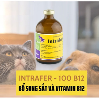 Interchemie Intrafer chai 100ml bổ sung sắt và Vitamin B12 ngừa tiêu chảy cho chó mèo heo con giasúc