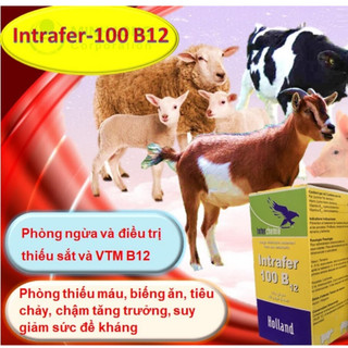 Interchemie Intrafer chai 100ml bổ sung sắt và Vitamin B12 ngừa tiêu chảy cho chó mèo heo con giasúc