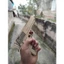 Mô hình đồ chơi bằng gỗ cho trẻ em