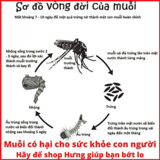 Màn tuyn 10/10 hàng xuất khẩu của Công ty dệt may 10.10 không cửa