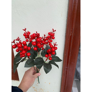 Combo 3 cụm chery đỏ 7 nhánh cao cấp