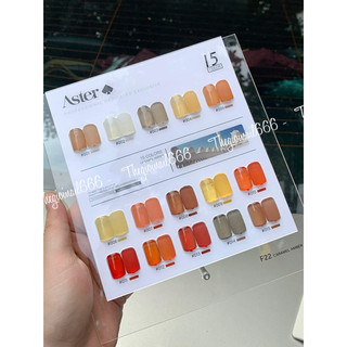 [TẶNG KÈM SET DẶM 4 MÀU] Set Gel Thạch Hổ Phách ASTER 15ml (Chai Lớn) | Màu Trong Veo, Hiệu Ứng Vân Đá Sang Trọng