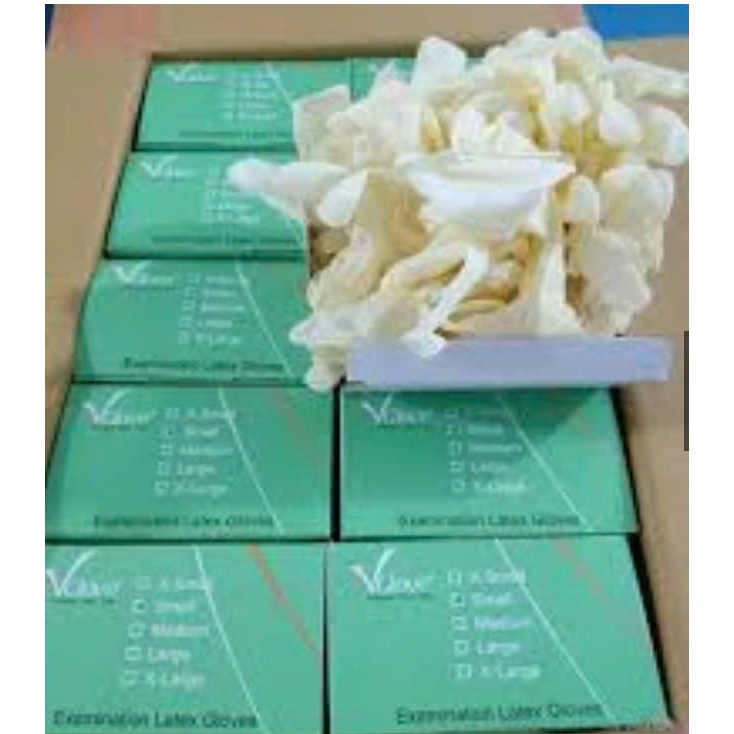 Găng tay y tế không bột VGlove, Găng tay cao su không bột. Hộp 50 đôi