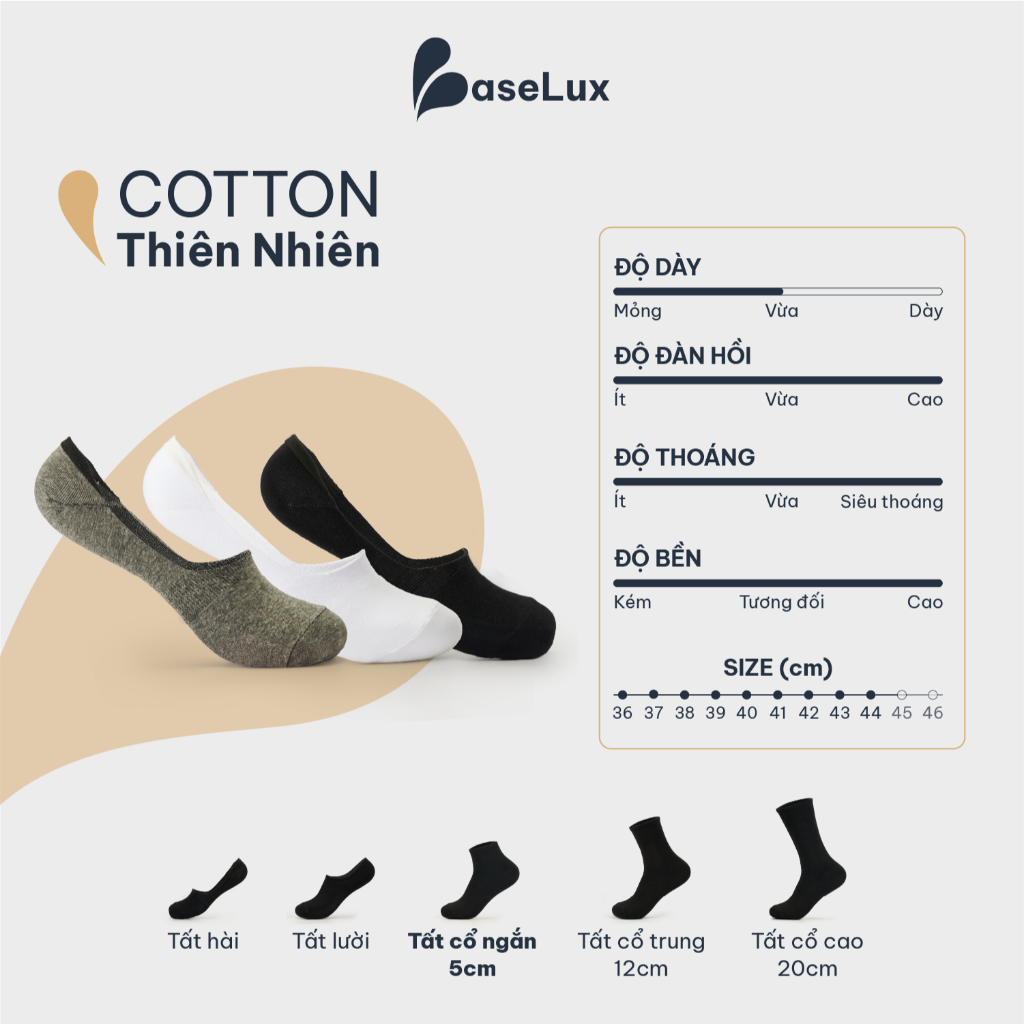 Tất lười BaseLux tất cotton thoáng khí, tất lười chống tuột gót kháng khuẩn, tất lười nam công sở Hàn Quốc