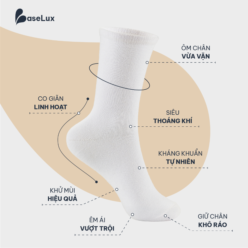 Tất cao cổ nữ BaseLux Tất cotton mềm mại Vớ chân nữ kháng khuẩn khử mùi Tất trắng nữ co giãn 4 chiều vớ nữ basic vintage