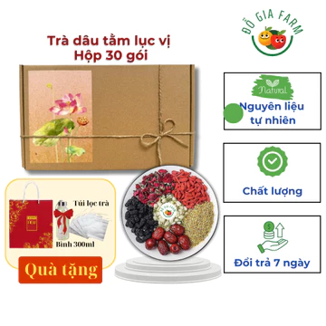 Hộp QT 30 gói trà dâu tằm lục vị (táo đỏ, kỷ tử, dâu tằm, quế hoa, nụ hồng, nụ nhài) - tặng bình 300ml hoặc túi lọc trà
