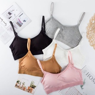 Combo Áo bra nữ kèm mút mỏng nâng đỡ định hình ngực vải cotton thấm hút thoáng mát King Shop B-727