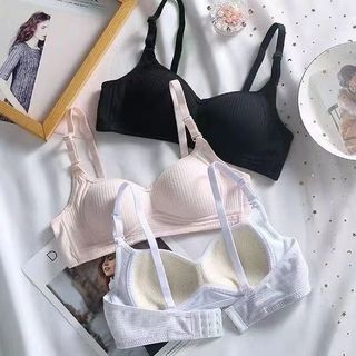 Combo 3 Áo ngực không gọng đệm mỏng nâng ngực cotton gân tăm thông khí King Shop A-414