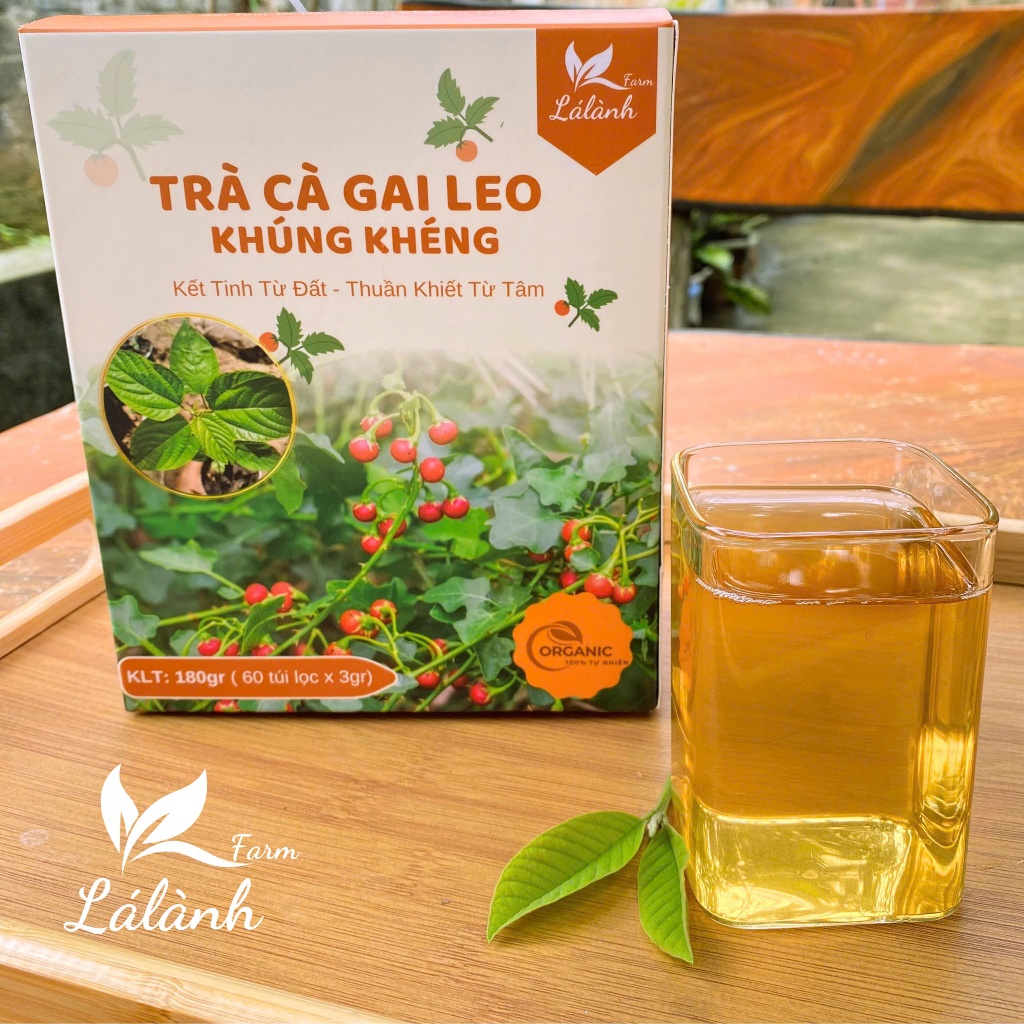 2 Hộp Trà Cà Gai Leo Khúng Khéng Lá Lành Farm -120 Gói Túi Lọc Thảo Dược Chăm Sóc Gan Từ Tự Nhiên