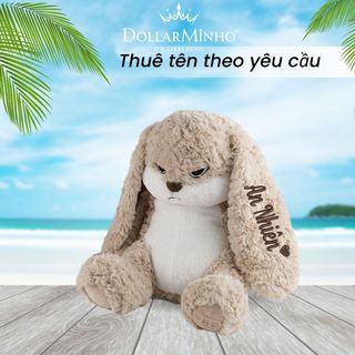 ( Thêu Tên ) Gấu Bông Thỏ Mặt Quạo Đáng Yêu, Cáu Kỉnh, Quà Tặng Người Yêu, Bé Nhỏ, Ý Nghĩa