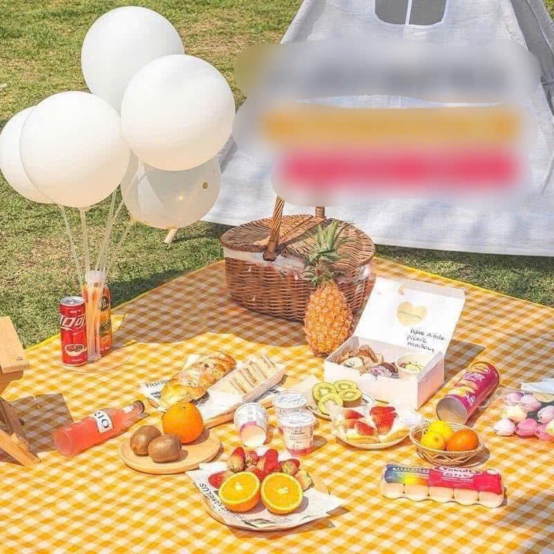 THẢM DÃ NGOẠI, PICNIC CHỐNG THẤM NƯỚC TIỆN LỢI, KÍCH THƯỚC 2MX2M