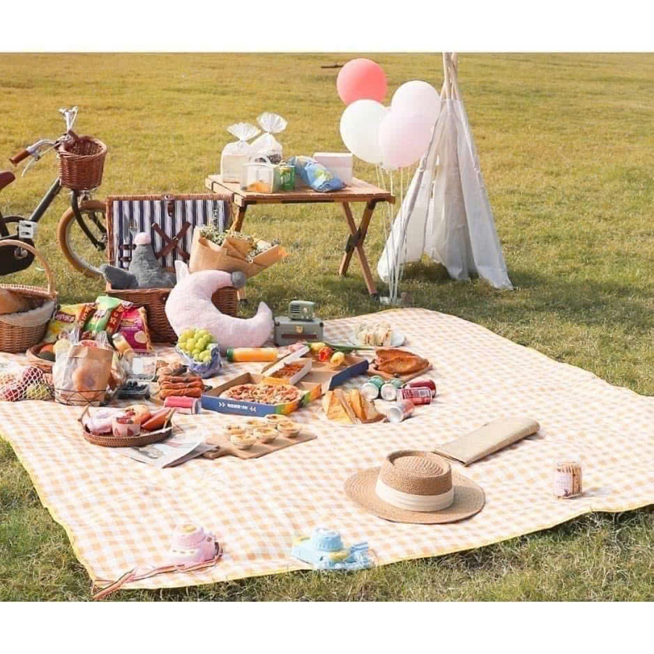 THẢM DÃ NGOẠI, PICNIC CHỐNG THẤM NƯỚC TIỆN LỢI, KÍCH THƯỚC 2MX2M