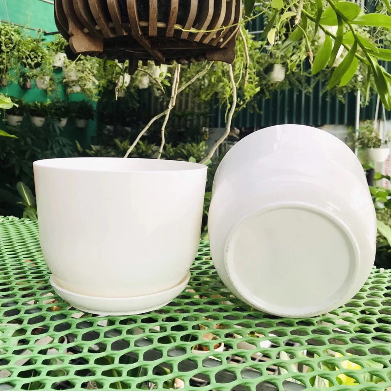 (Chậu +đĩa) Chậu nhựa tròn trắng giả sứ kèm đĩa siêu xinh, giống sứ 99%