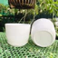 Chậu nhựa tròn trắng giả sứ kèm đĩa siêu xinh, giống sứ 99%
