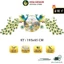 Đồng Hồ Treo Tường Trang Trí Nhà Cửa Công Phượng Khổng Tước Tráng Gương Nghệ Thuật Kim Trôi Cao Cấp VIVA DECOR V2888-1