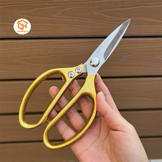 Kéo vàng Nhật SK5 JAPAN cắt gà, Kéo lưỡi thép cứng, sắc bén, thiết kế chắc chắn, tiện dụng Cam Homeware