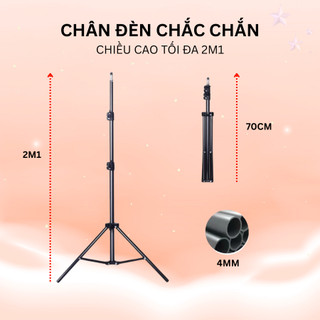 Combo Đèn Softbox Vuông 60x90 + Softbox Tổ Ong Bát Giác | Ánh Sáng Chuyên Nghiệp Chụp Ảnh Beauty, Livestream Mỹ Phẩm