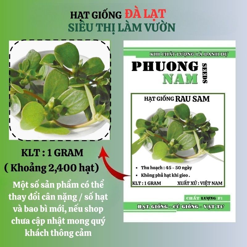 1GR - HẠT GIỐNG RAU SAM ĐÀ LẠT | Shopee Việt Nam