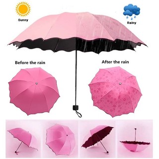 Dù đi nắng đi mưa, chống tia UV (Gặp nước nở hoa)