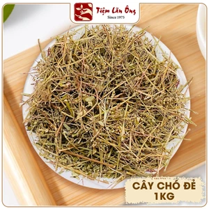 Cây chó đẻ răng cưa khô 1kg, diệp hạ châu, thơm, xanh - Tiệm lãn ông