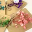 Thiệp Hoa Khô Handmade – Gửi Lời Chúc Ý Nghĩa, Trang Trí Quà Tặng, Dùng Trong Dịp Đặc Biệt