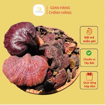 Nấm Lim Xanh Rừng Chuẩn Của Nhà Thảo Dược Tây Bắc ( Đặc Sản Tây Bắc )