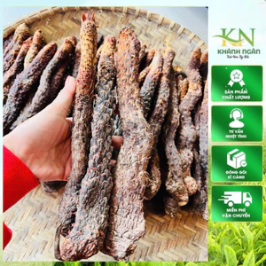 Nhục Thung Dung Khô Mộc Nội Mông Cao Cấp - Dược Liệu Bổ Thận, Tráng Dương, Tăng Cường Sinh Lý Nam Giới
