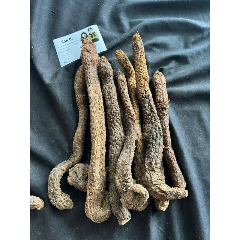 Nhục Thung Dung Khô Mộc Nội Mông Cao Cấp - Dược Liệu Bổ Thận, Tráng Dương, Tăng Cường Sinh Lý Nam Giới