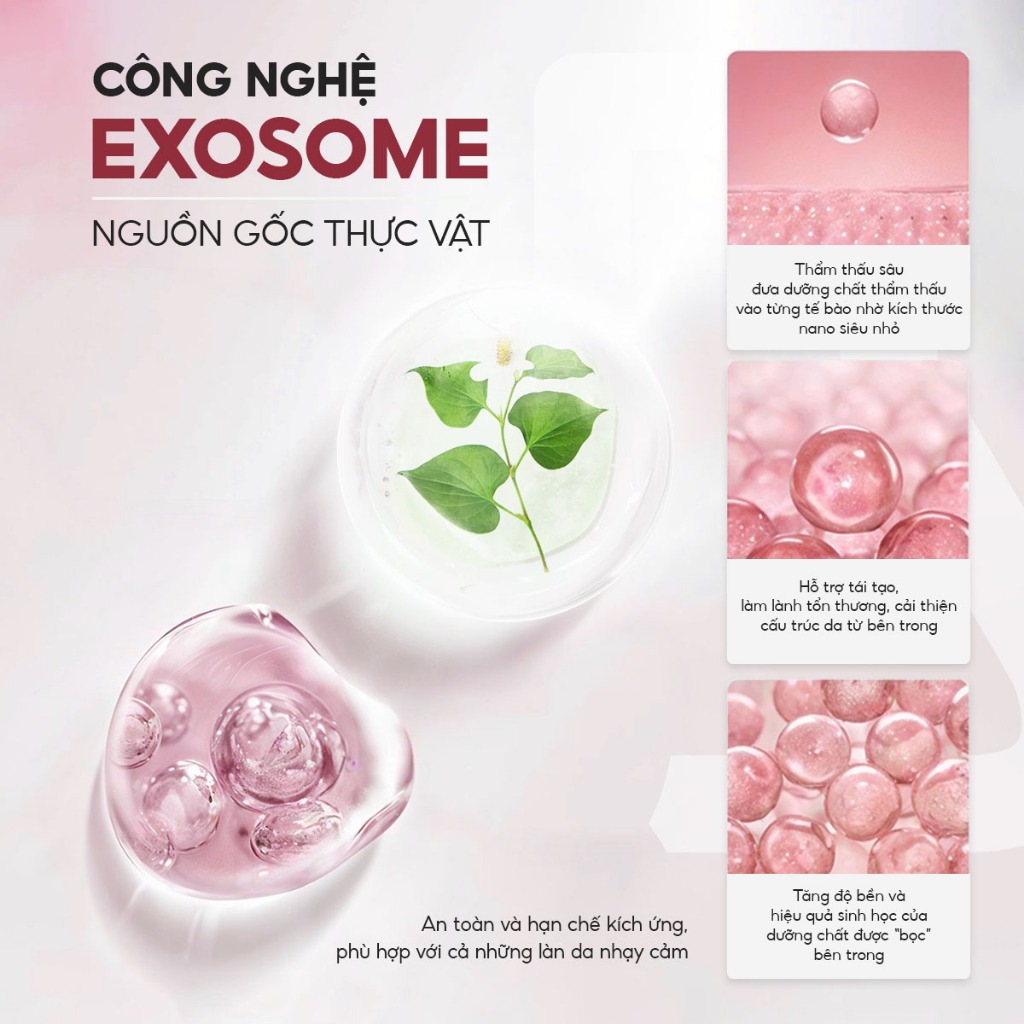 Mặt nạ diếp cá cho da dầu mụn C'NEW LAB hỗ trợ kiểm soát dầu, giảm sưng viêm (Hộp 5 miếng)