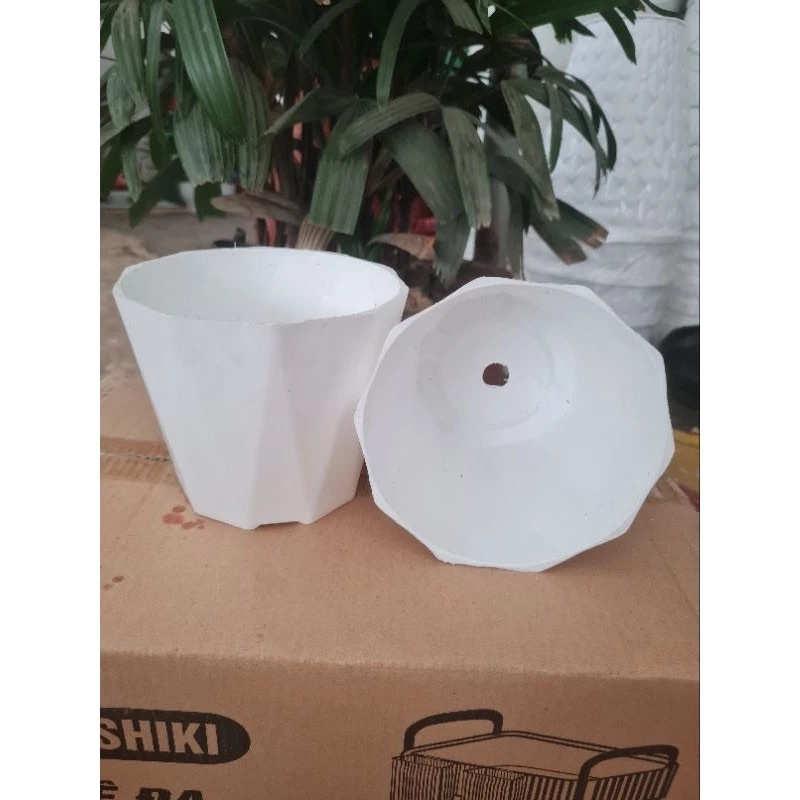 Chậu nhựa kim cương trắng trồng cây kích thước 15x13cm