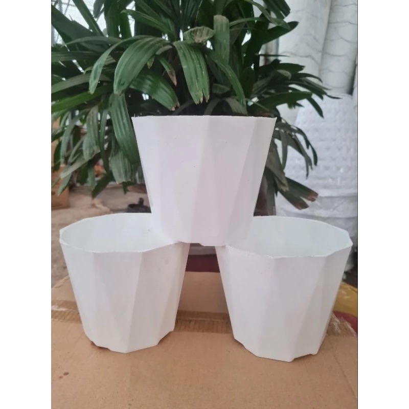 Chậu nhựa kim cương trắng trồng cây kích thước 15x13cm