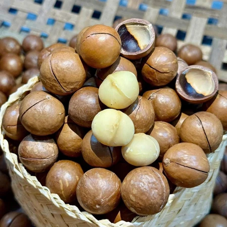 1kg Hạt macca cao cấp SIZE BỰ sấy nứt vỏ hạt giòn thơm ngon - Hạt mắc ca hàng chuẩn loại 1