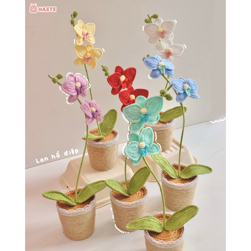 Chậu Hoa Len Lan Hồ Điệp Chất Len Dệt Sợi Nhỏ Để Bàn Trang Trí Bàn Làm Việc Bàn Học Dễ Thương Handmade Made by Haste