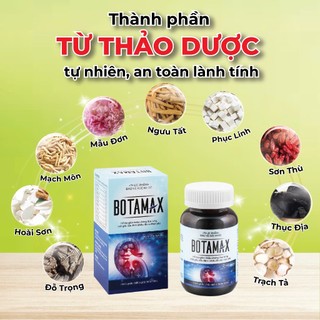 Viên Thận BOTAMAX - Hỗ trợ tăng cường chức năng thận, bổ thận, giảm đau lưng, tiểu nhiều lần, mỏi gối - Lọ 60/90 viê