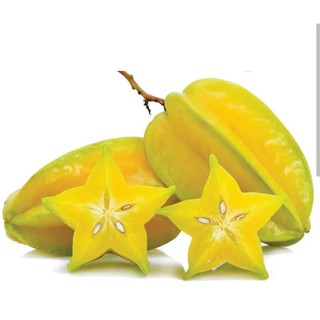 Cây giống Khế ngọt-giống F1 say quả