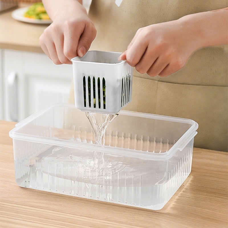 Hộp bảo quản tủ lạnh 6 lưới,hộp bảo quản thực phẩm trái cây có lưới lọc thoát nước