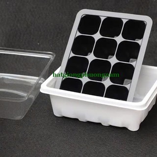 Khay Chuyên Dùng Ươm Hạt Giống 12 Lỗ Phương Nam