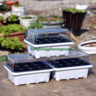 Khay Chuyên Dùng Ươm Hạt Giống 12 Lỗ Phương Nam
