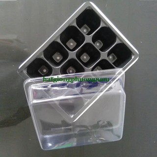 Khay Chuyên Dùng Ươm Hạt Giống 12 Lỗ Phương Nam