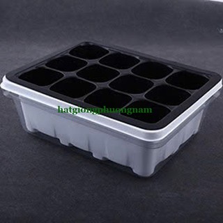 Khay Chuyên Dùng Ươm Hạt Giống 12 Lỗ Phương Nam