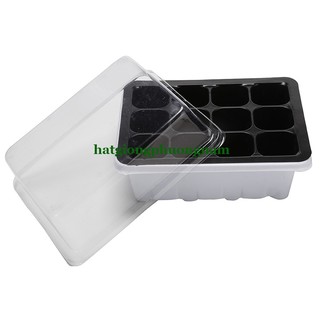 Khay Chuyên Dùng Ươm Hạt Giống 12 Lỗ Phương Nam